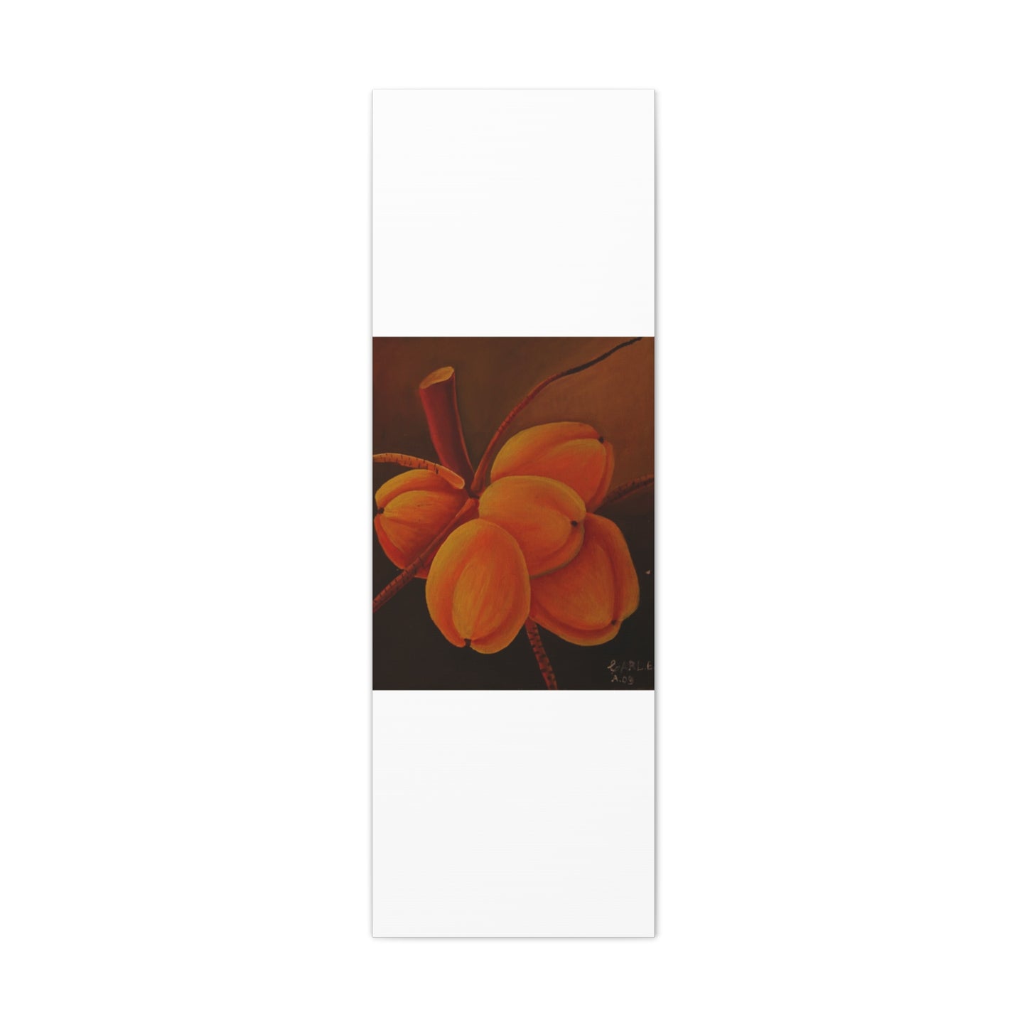 Canvas Print - Tropical Fruit Coconut Design