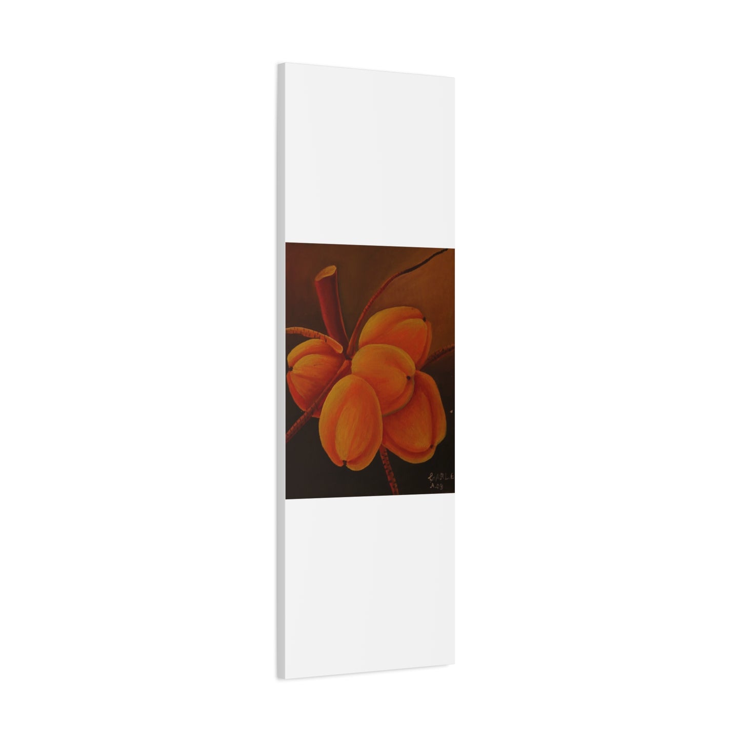 Canvas Print - Tropical Fruit Coconut Design