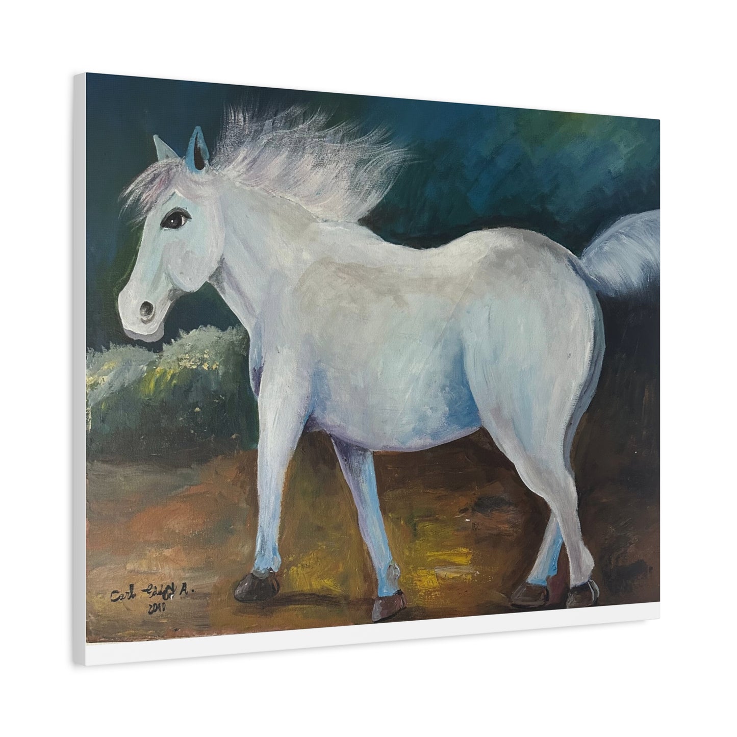 Canvas Art Print - White Horse