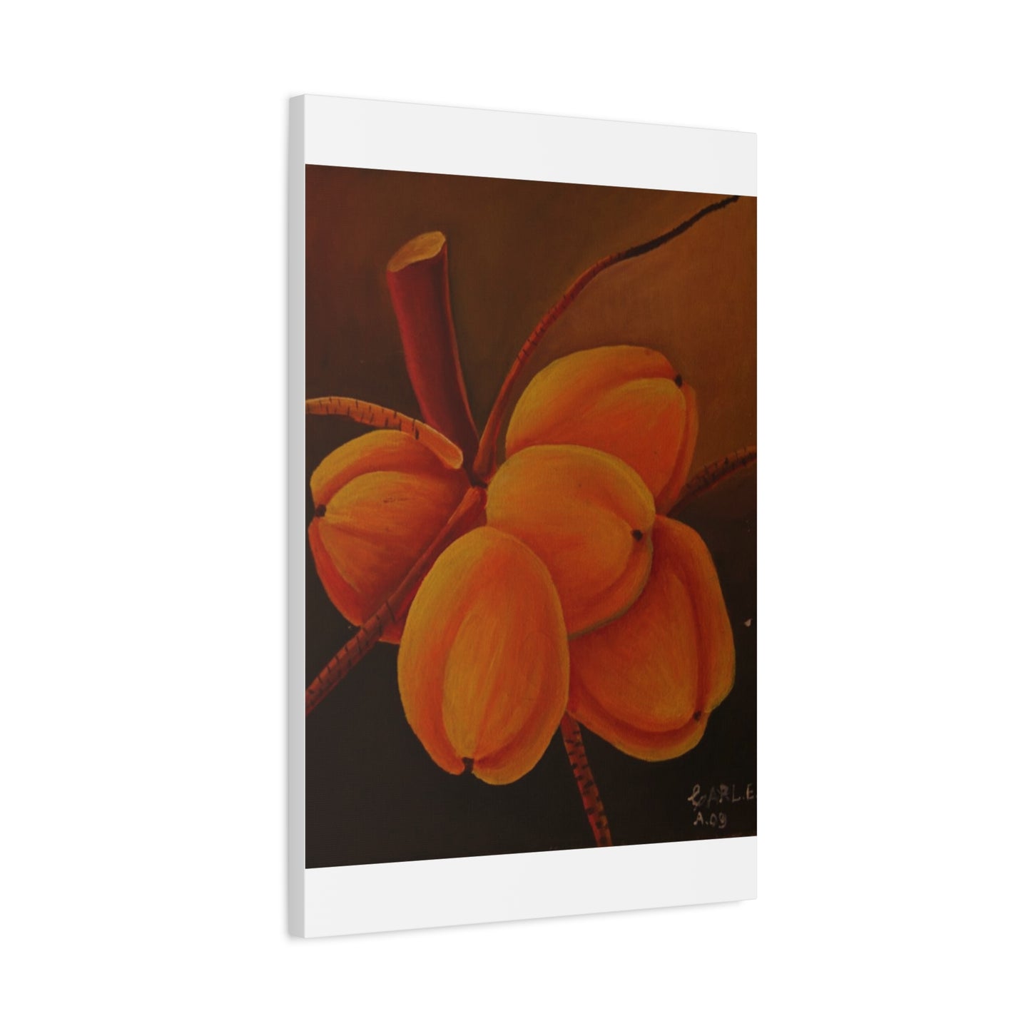 Canvas Print - Tropical Fruit Coconut Design
