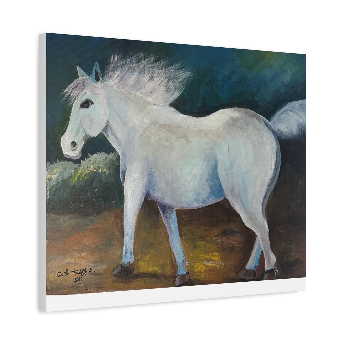Canvas Art Print - White Horse