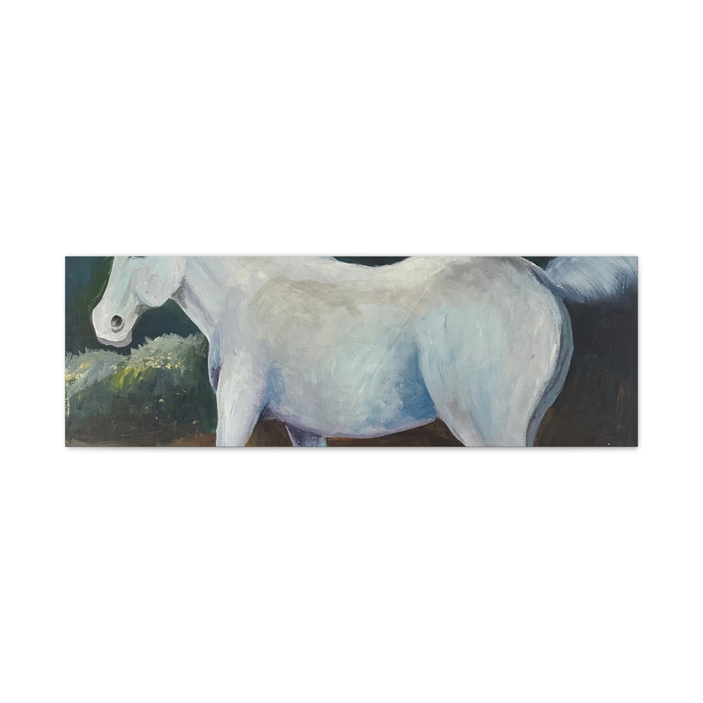 Canvas Art Print - White Horse