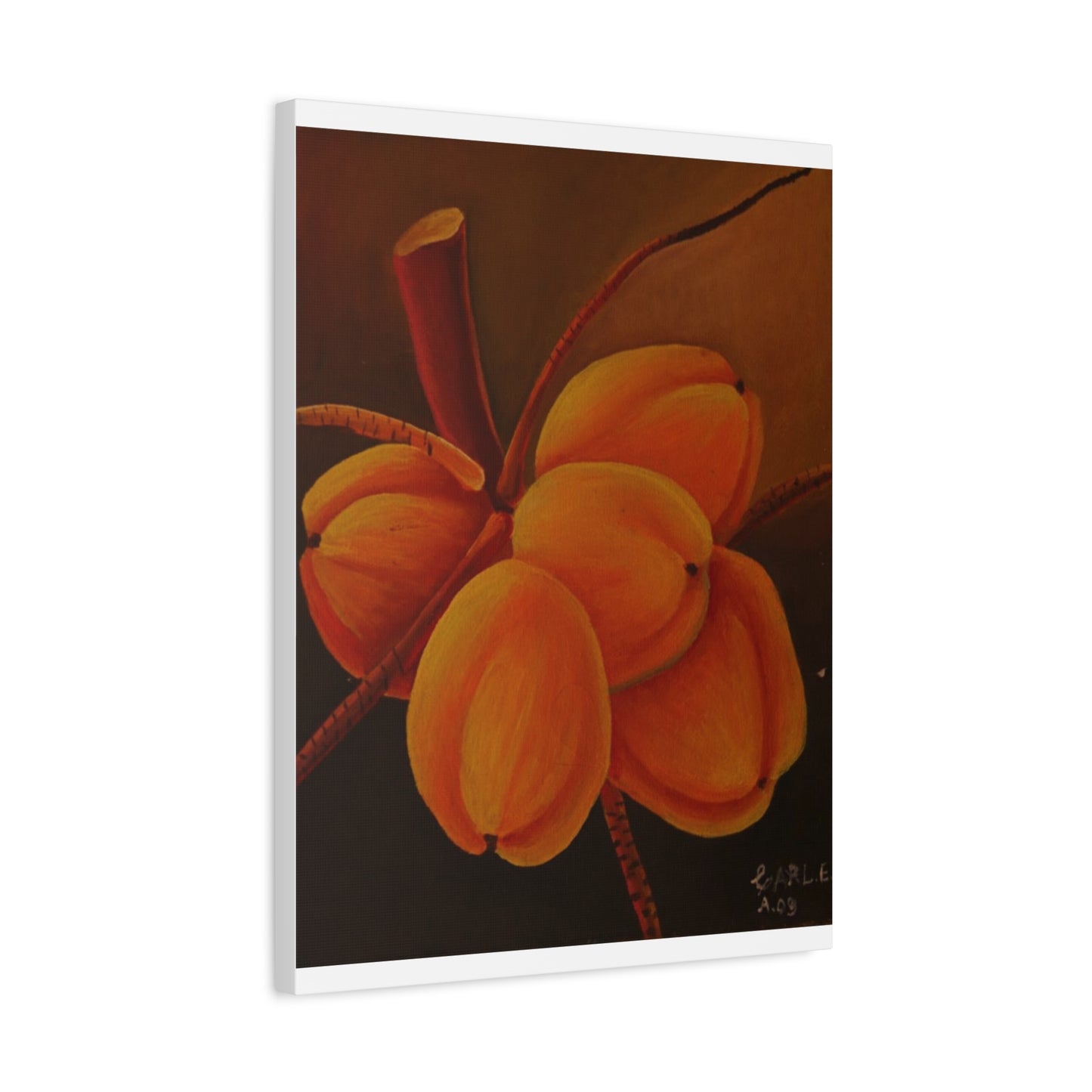 Canvas Print - Tropical Fruit Coconut Design