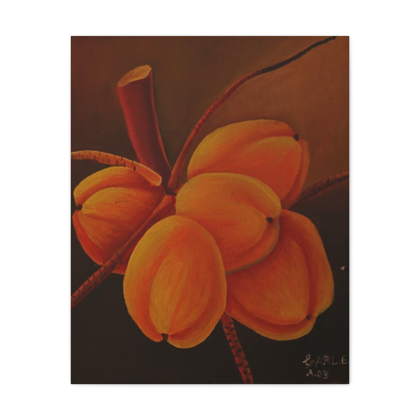 Canvas Print - Tropical Fruit Coconut Design