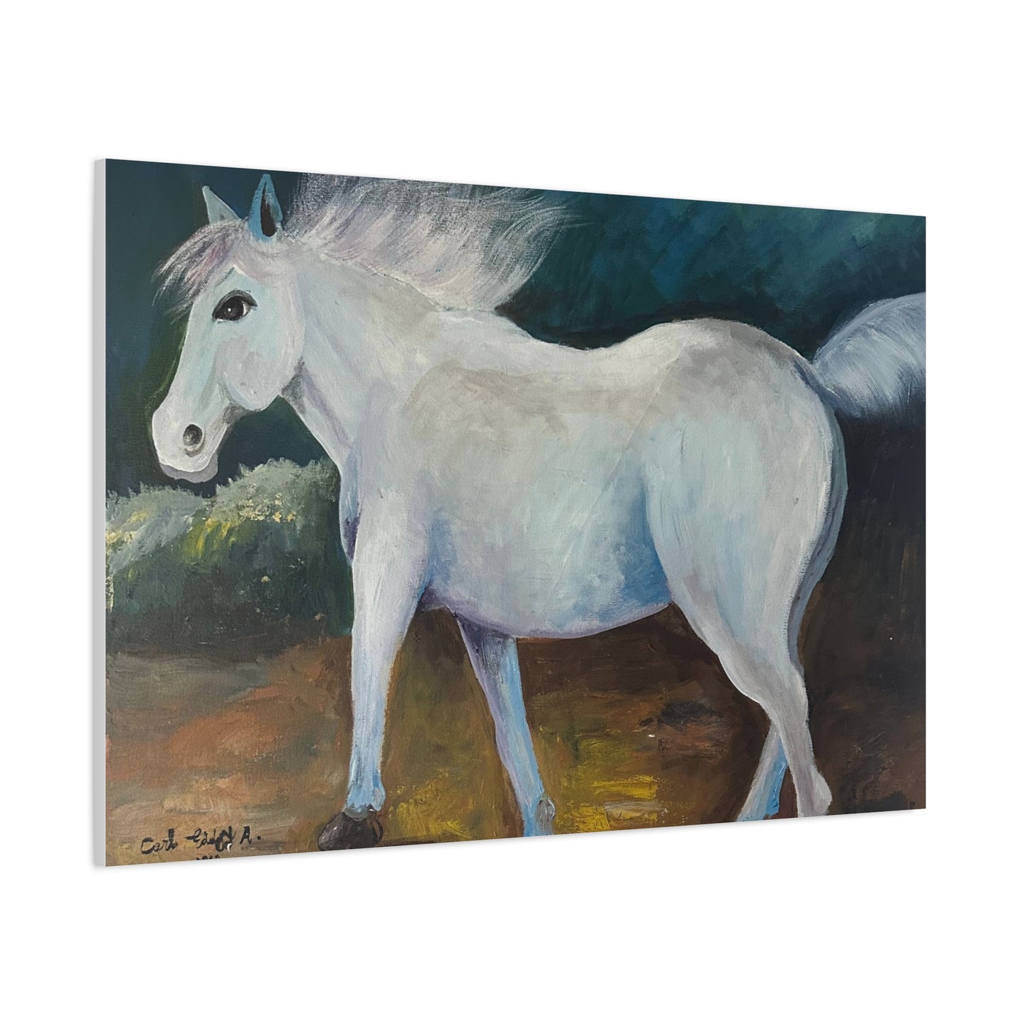 Canvas Art Print - White Horse