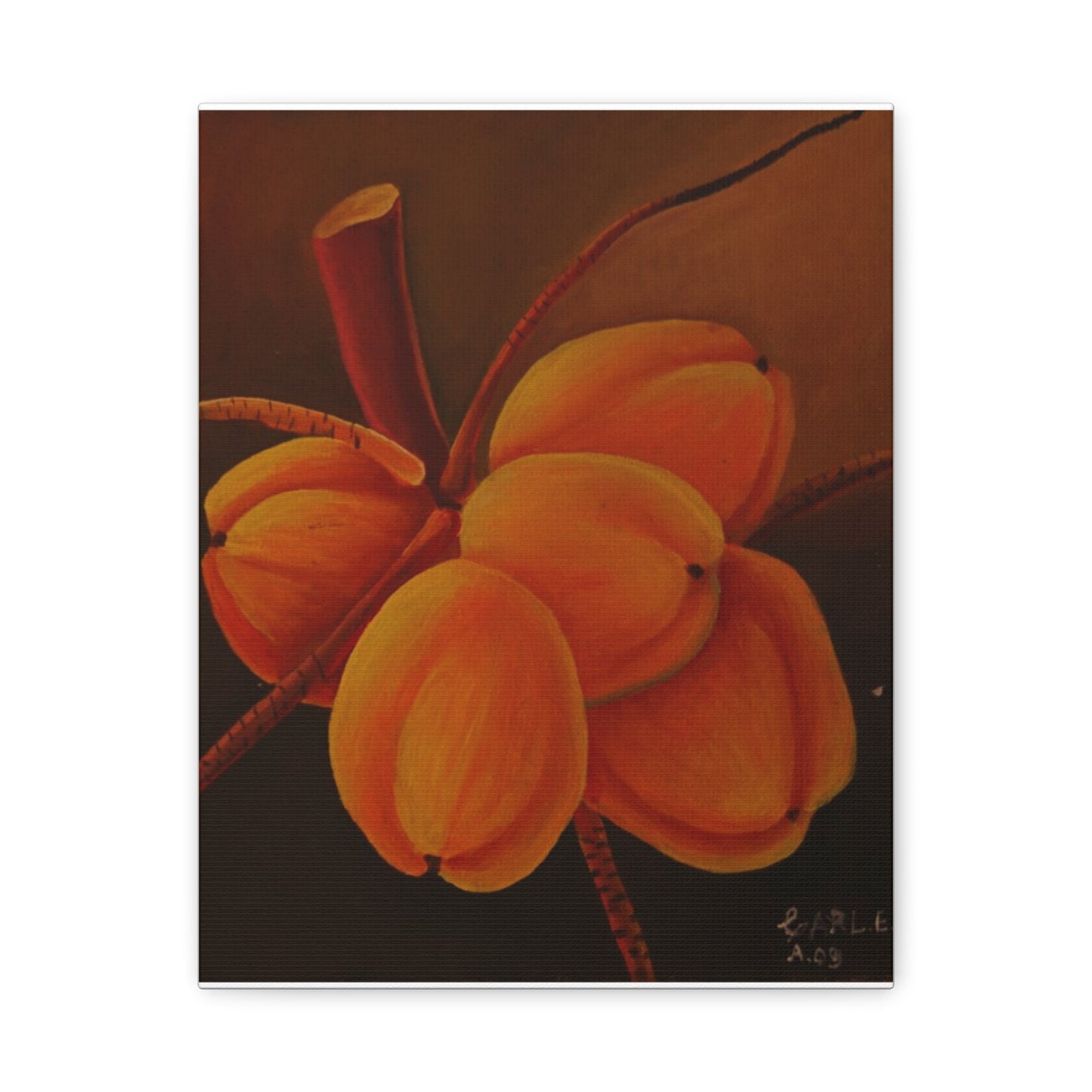 Canvas Print - Tropical Fruit Coconut Design