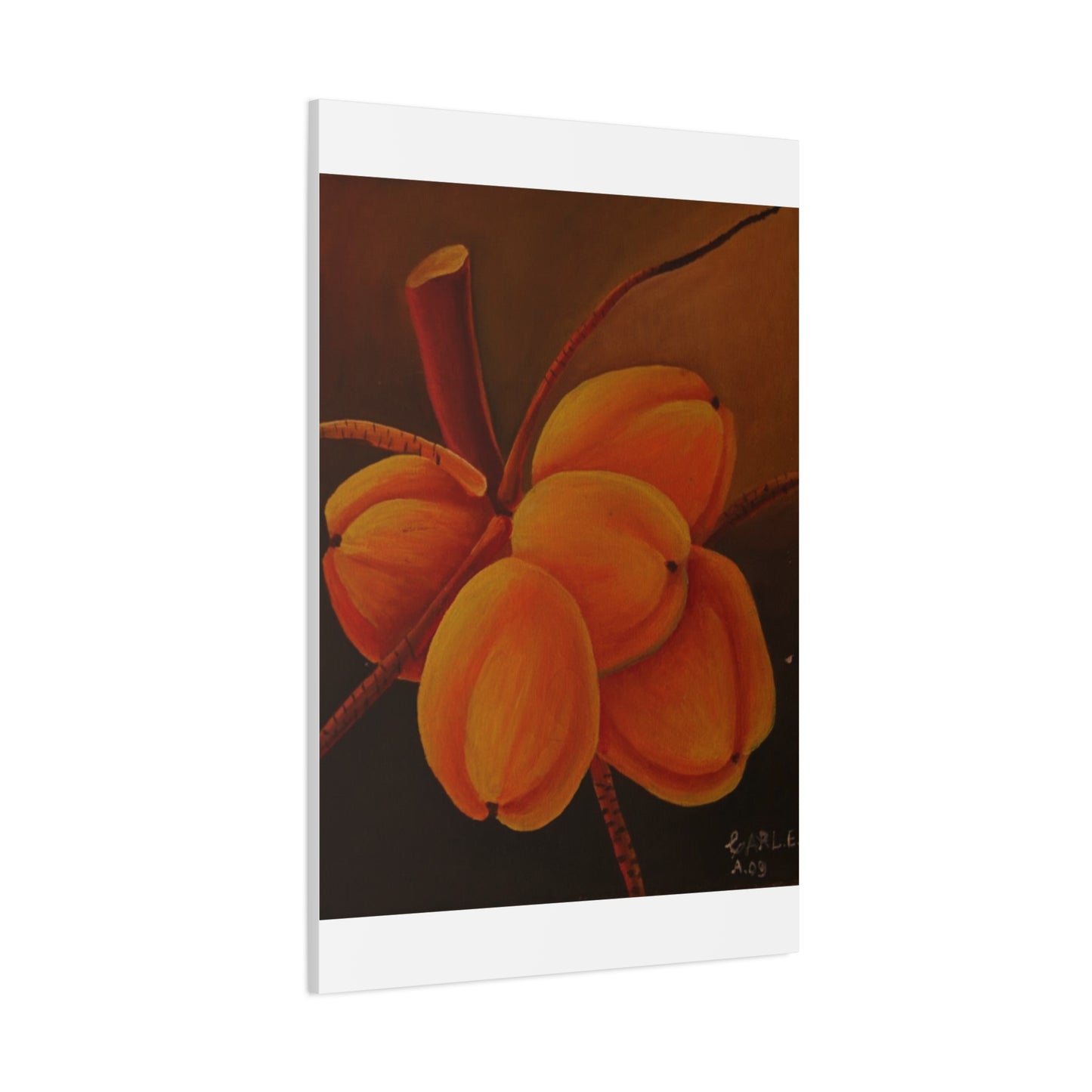 Canvas Print - Tropical Fruit Coconut Design