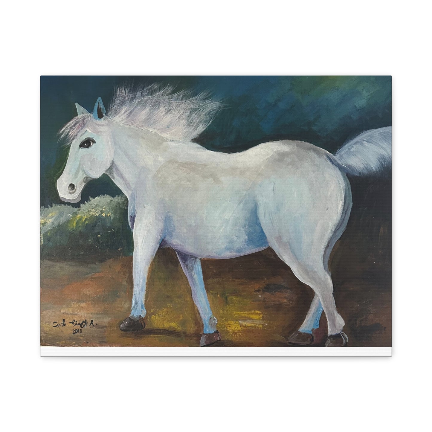Canvas Art Print - White Horse
