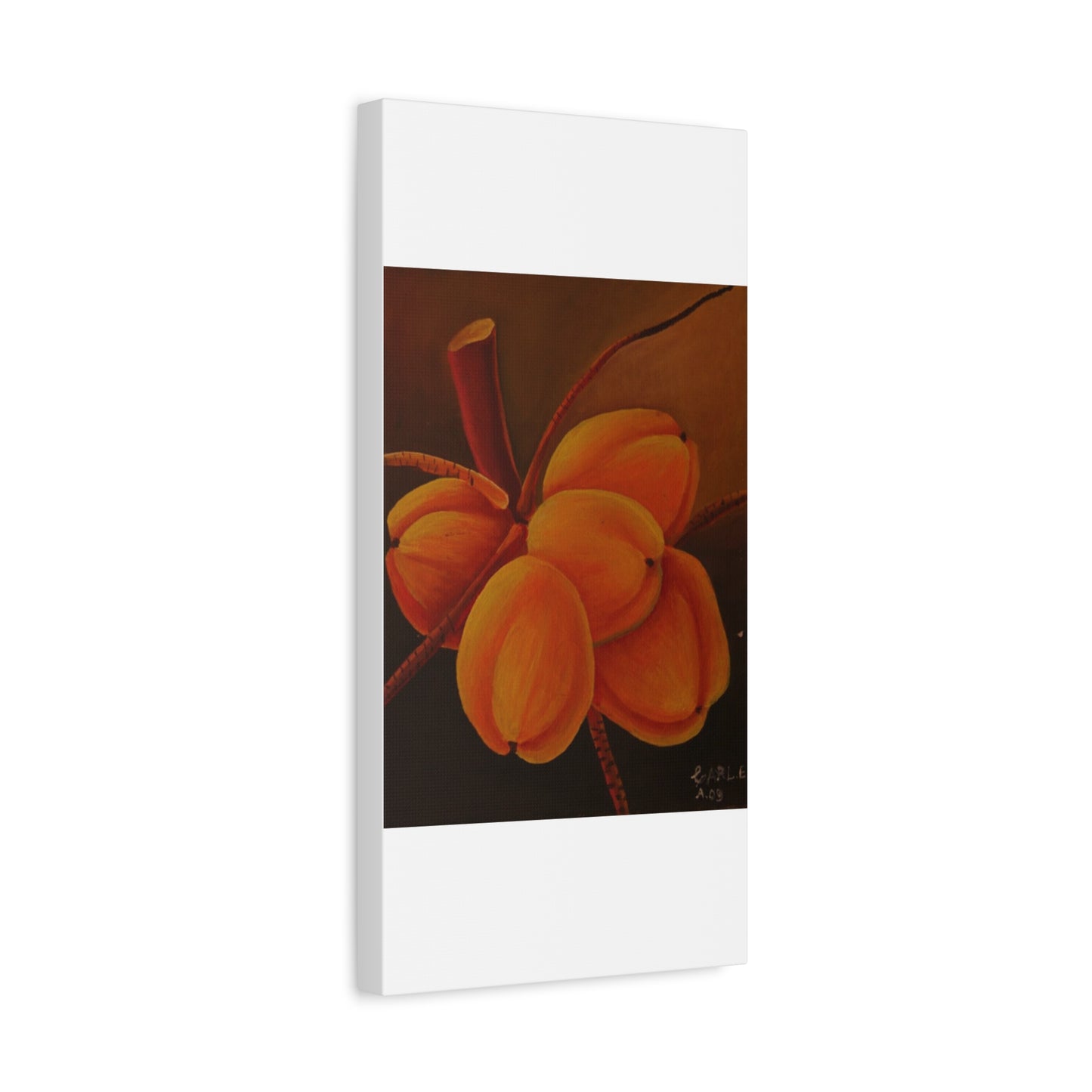 Canvas Print - Tropical Fruit Coconut Design