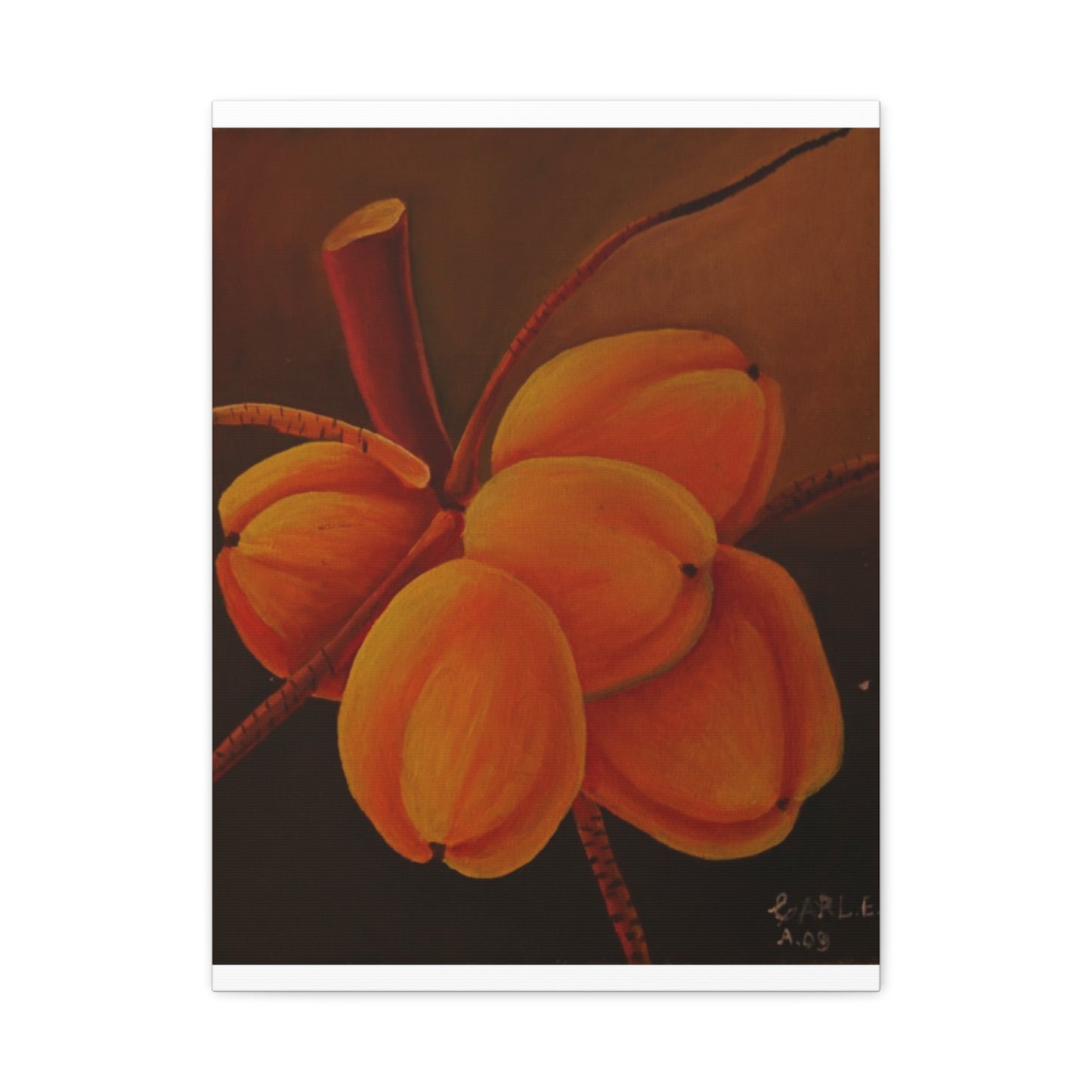 Canvas Print - Tropical Fruit Coconut Design