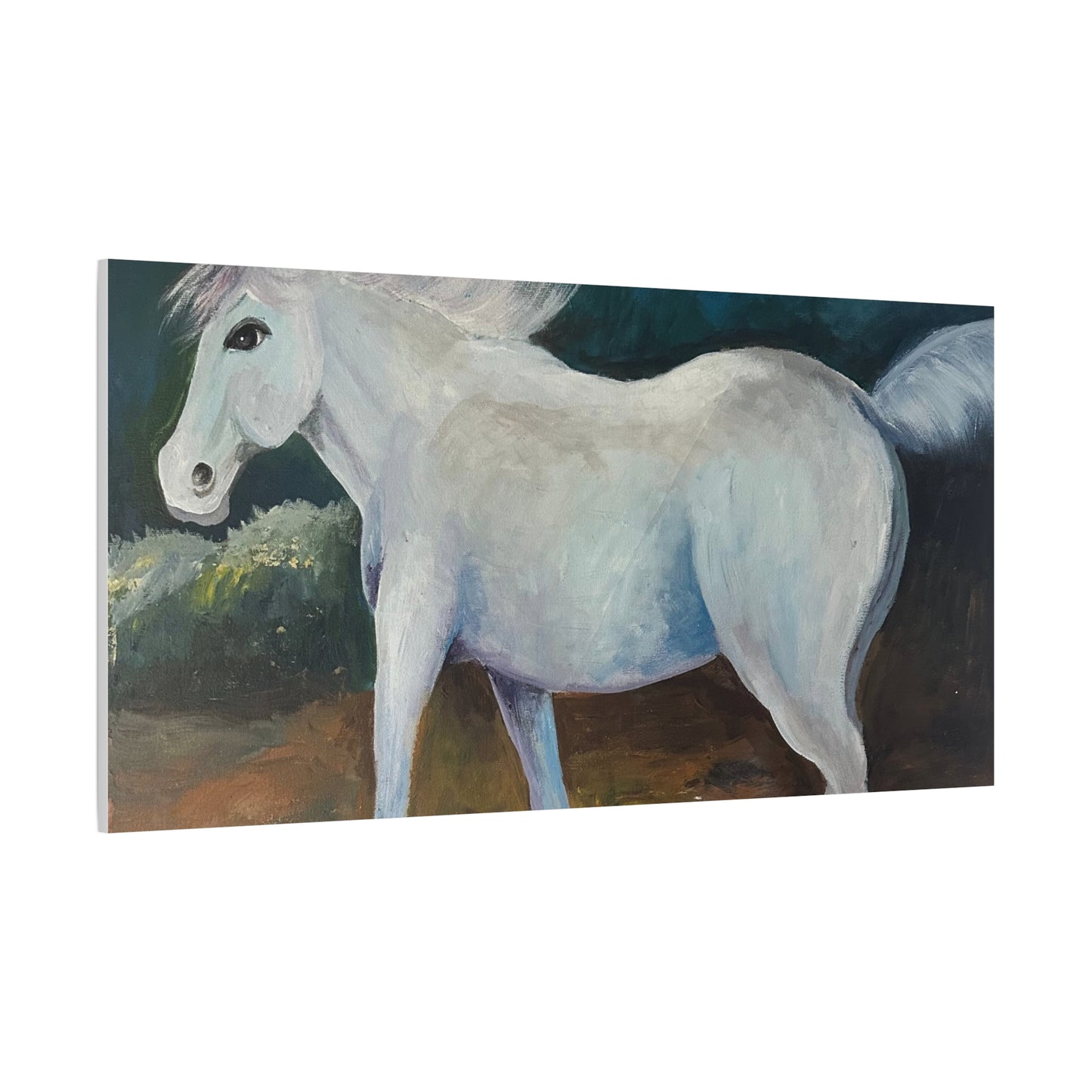 Canvas Art Print - White Horse