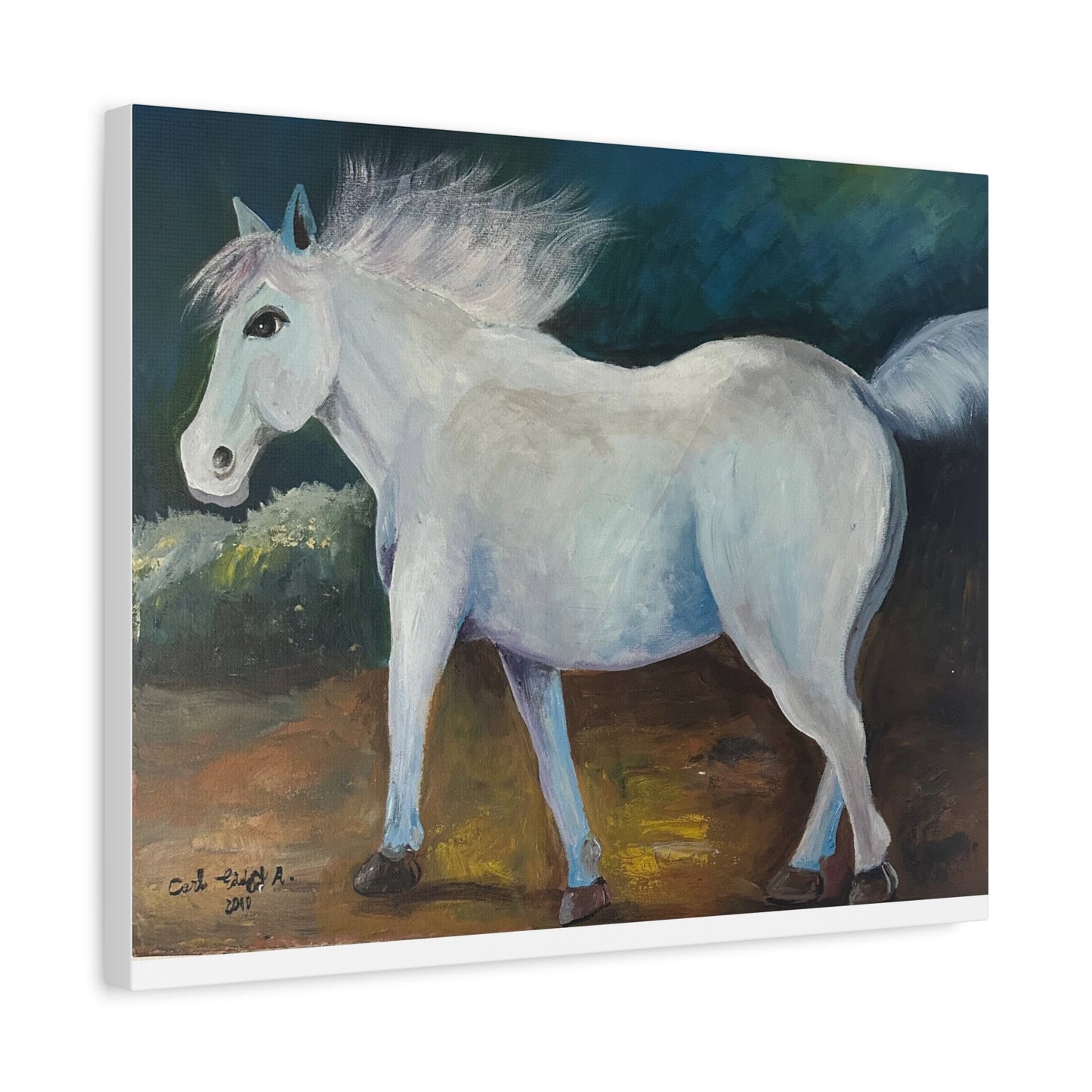 Canvas Art Print - White Horse
