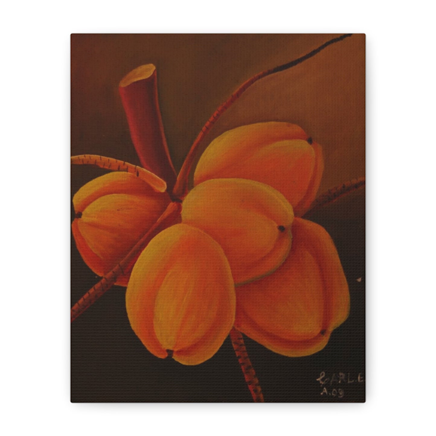 Canvas Print - Tropical Fruit Coconut Design