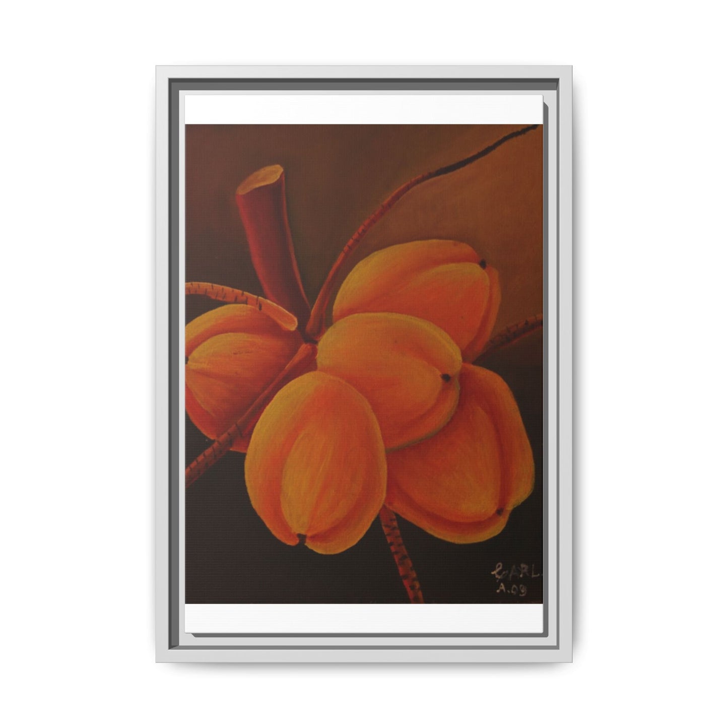 Matte Canvas, Framed (Multi-color)