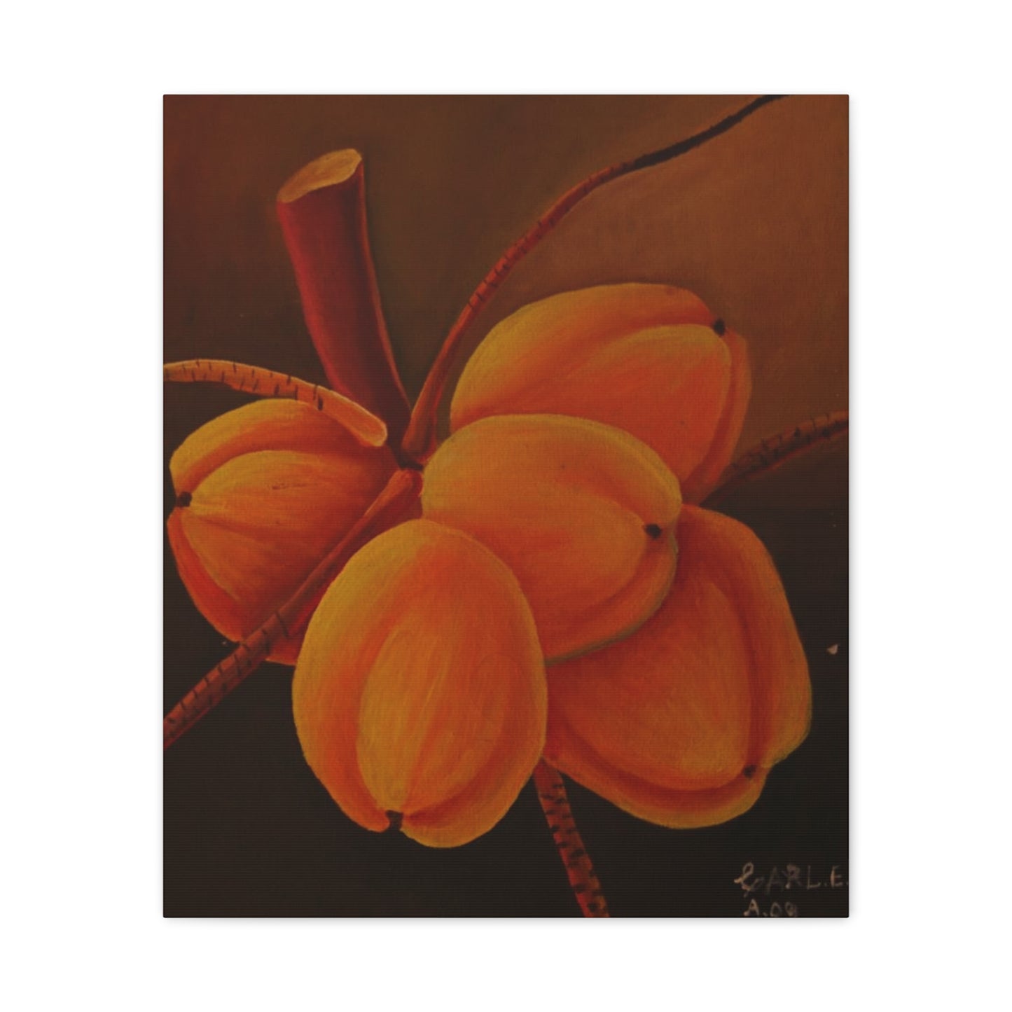 Canvas Print - Tropical Fruit Coconut Design