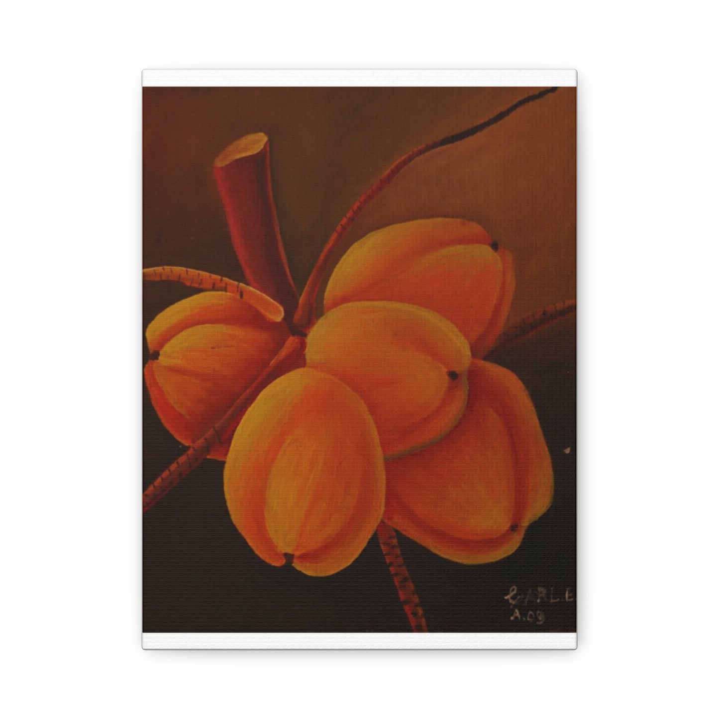 Canvas Print - Tropical Fruit Coconut Design