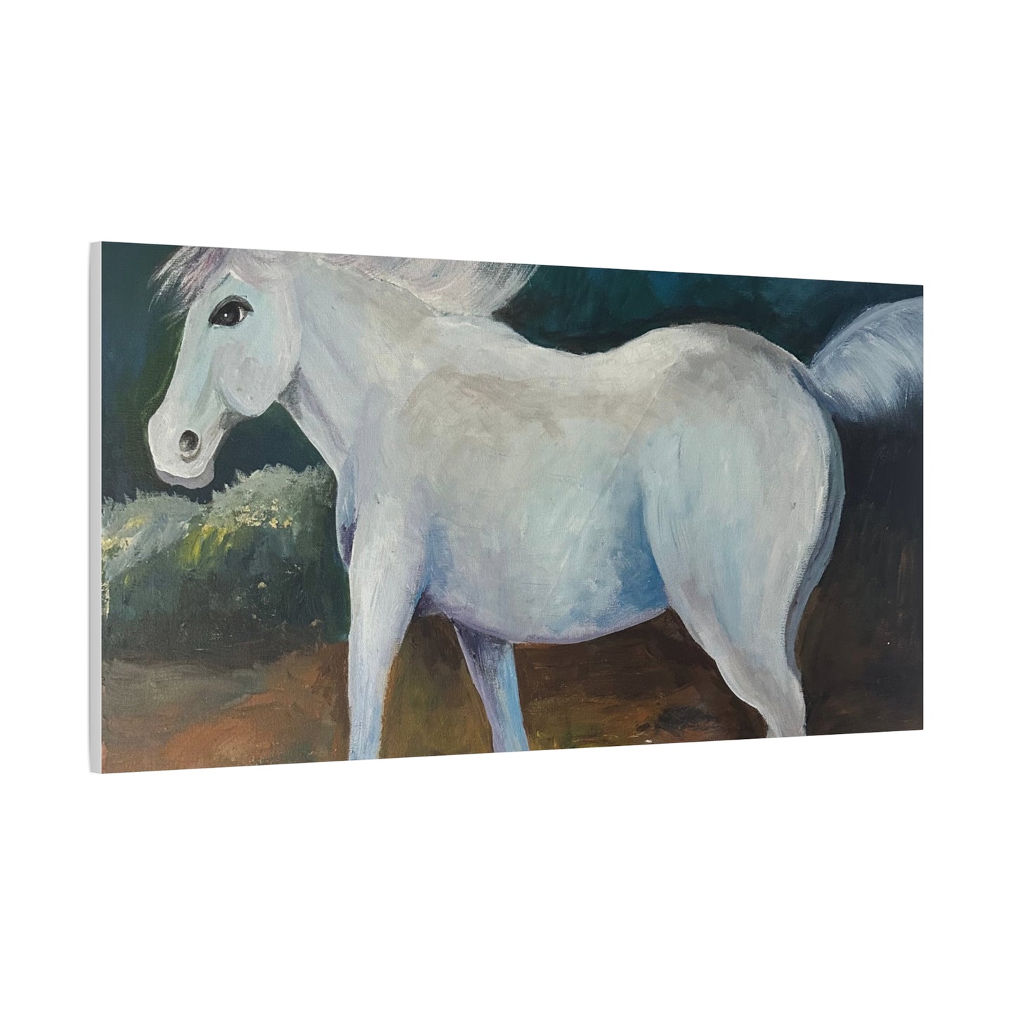 Canvas Art Print - White Horse