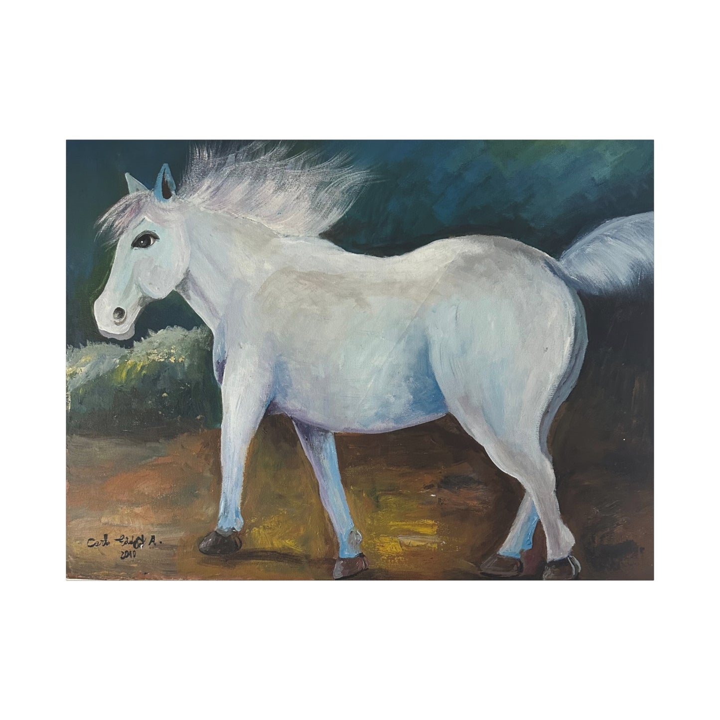 Canvas Art Print - White Horse