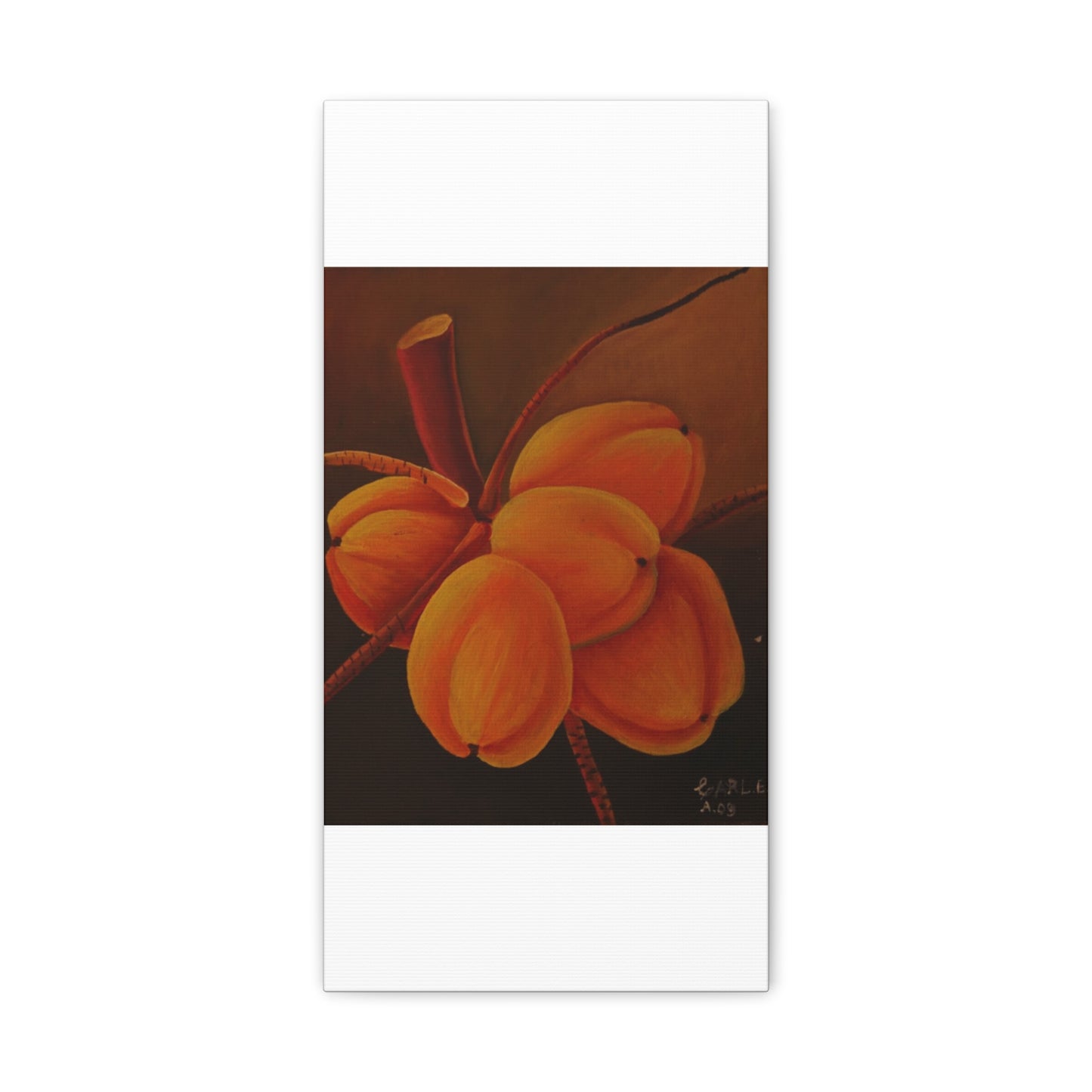 Canvas Print - Tropical Fruit Coconut Design