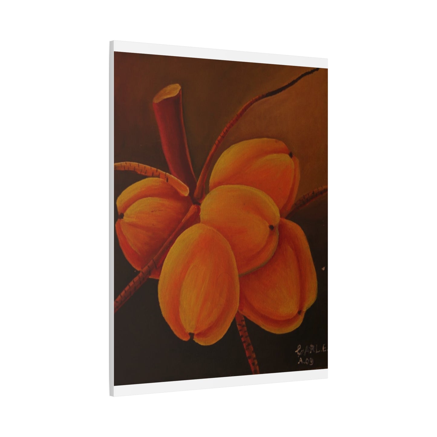 Canvas Print - Tropical Fruit Coconut Design