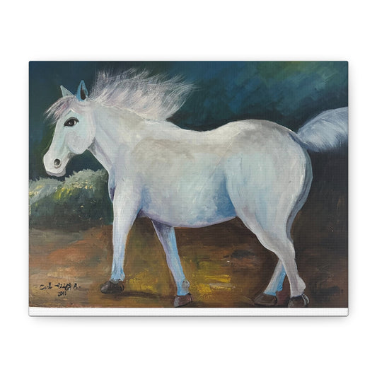 Canvas Art Print - White Horse