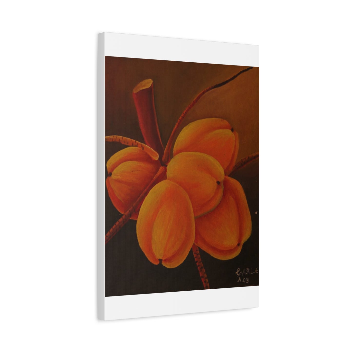 Canvas Print - Tropical Fruit Coconut Design