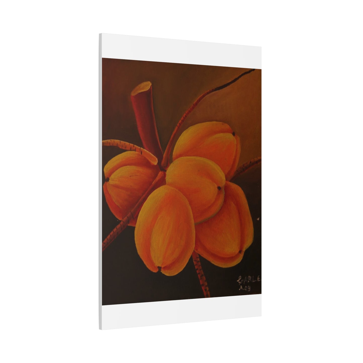 Canvas Print - Tropical Fruit Coconut Design