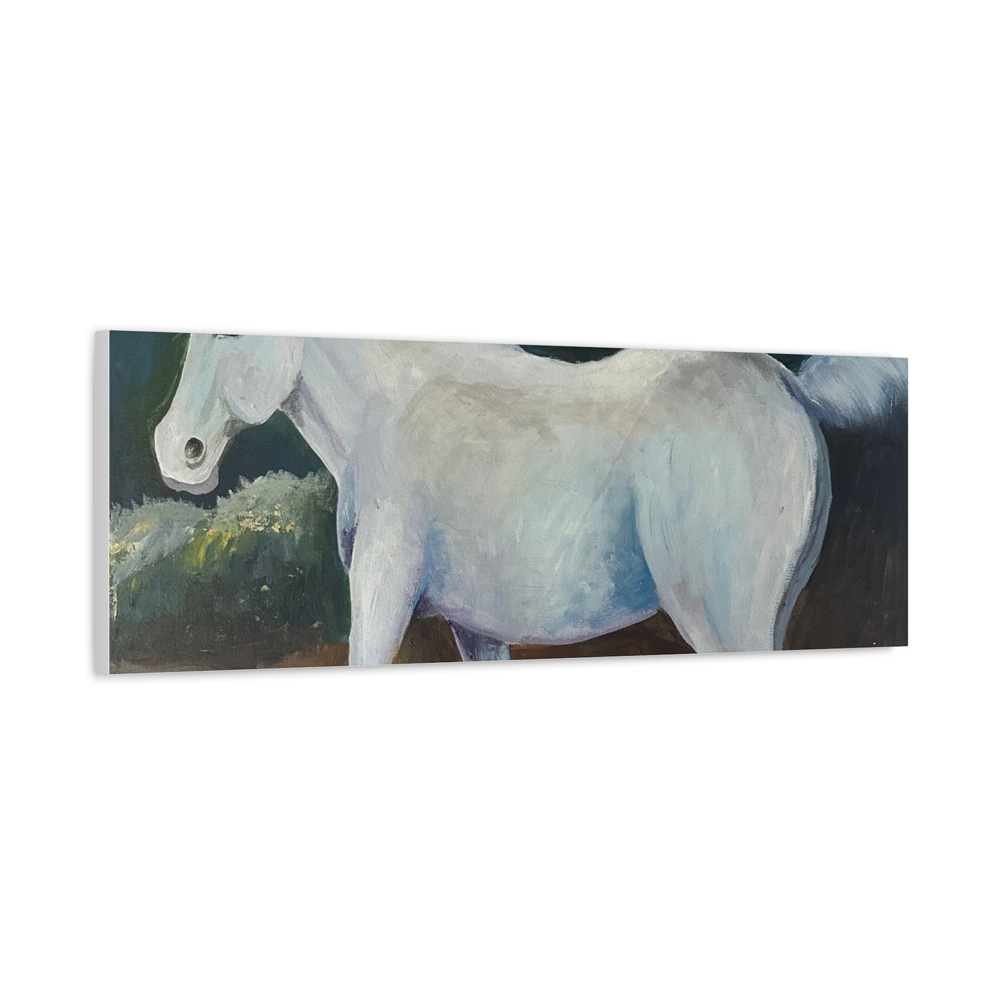 Canvas Art Print - White Horse