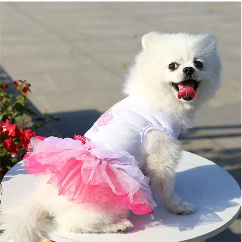 Charming Spring Lace Dress for Small Dogs - Ideal for Parties, Birthdays, and Weddings