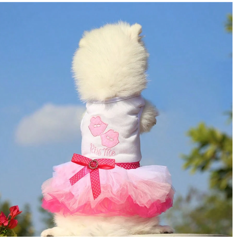 Charming Spring Lace Dress for Small Dogs - Ideal for Parties, Birthdays, and Weddings