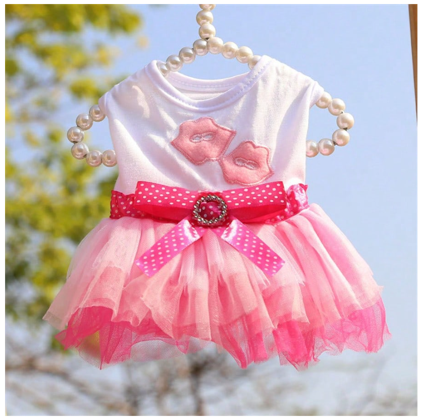 Charming Spring Lace Dress for Small Dogs - Ideal for Parties, Birthdays, and Weddings