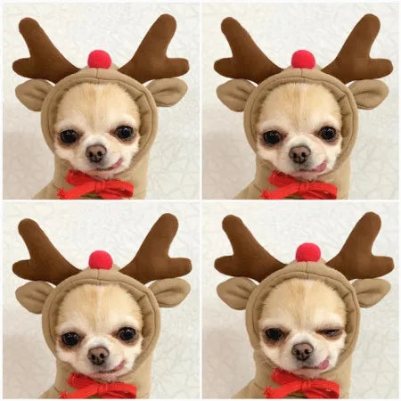 dsp/20250619/cf0503bd241e432a86571e2620131d65.jpg